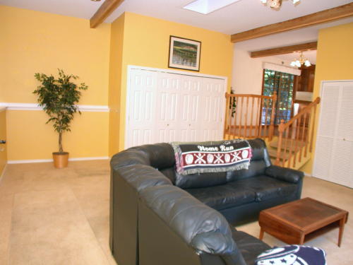 Lower level fireplace